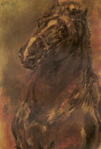 Horse Study