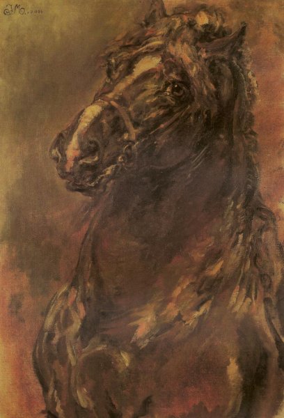 Horse Study